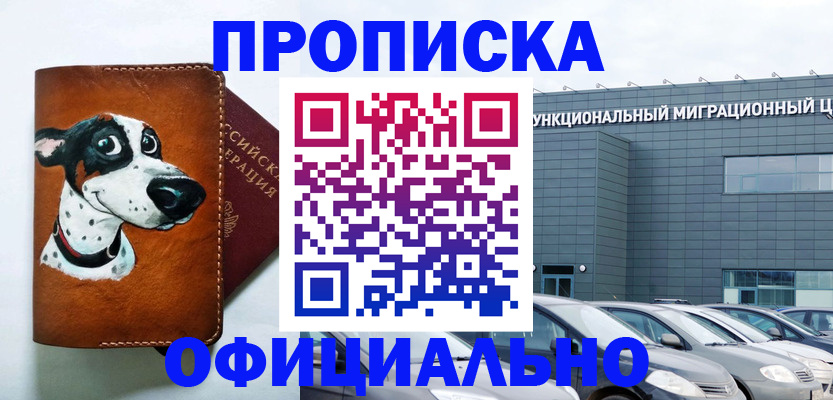 временная прописка в Бакале
